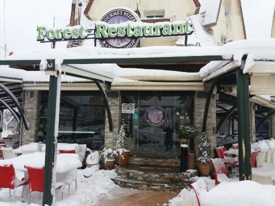 Forest Restaurant