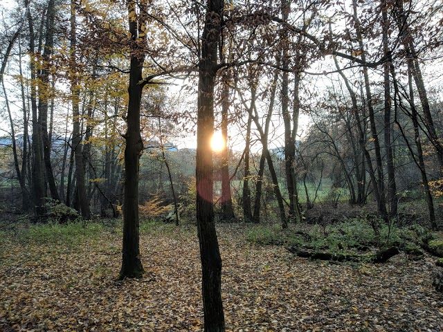 Vyhlidka Kunratickeho lesa