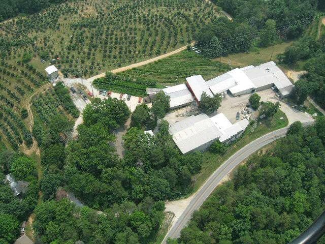 Hillside Orchard Farms Inc