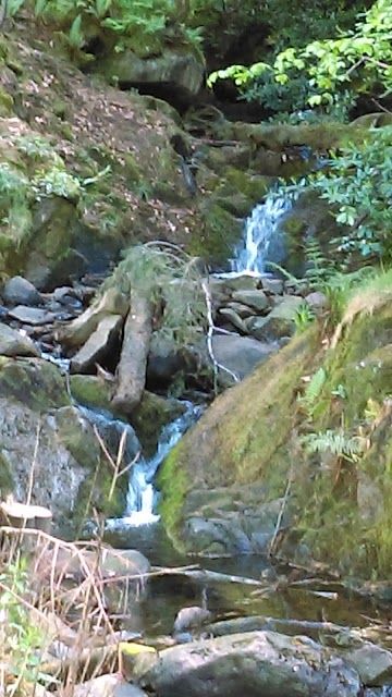 Ravensdale Forest Recreation Area