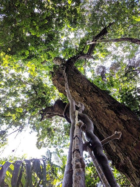 Jungla Urbana Ecological Park