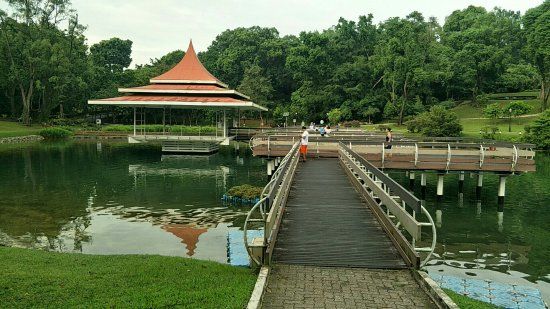 MacRitchie Reservoir