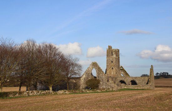 Kilcrea Friary