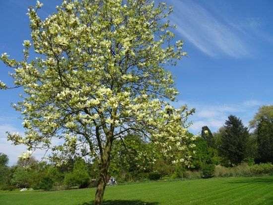 Arboretum De Dreijen