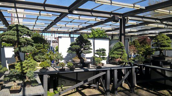 Crespi Bonsai Museum