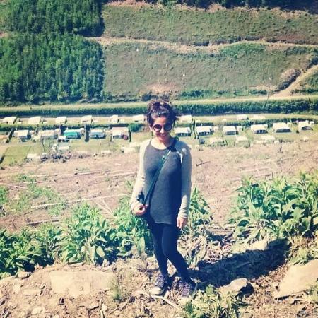 Les Grès De La Roche