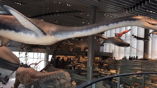 Natuurhistorisch Museum van Shanghai