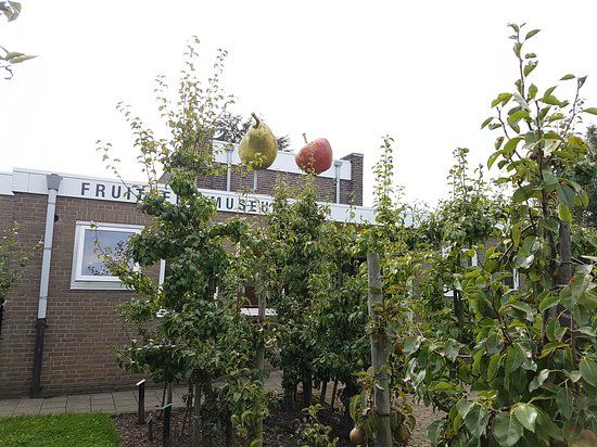 Fruitteeltmuseum
