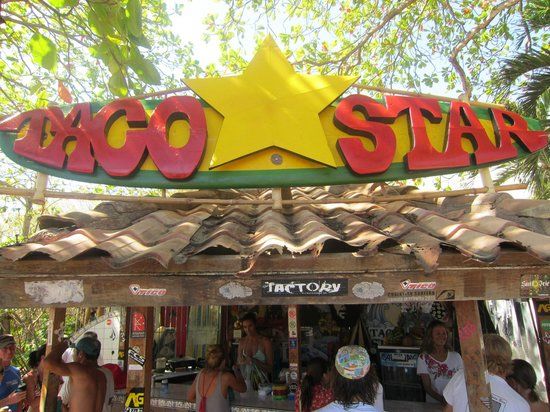 Taco Star