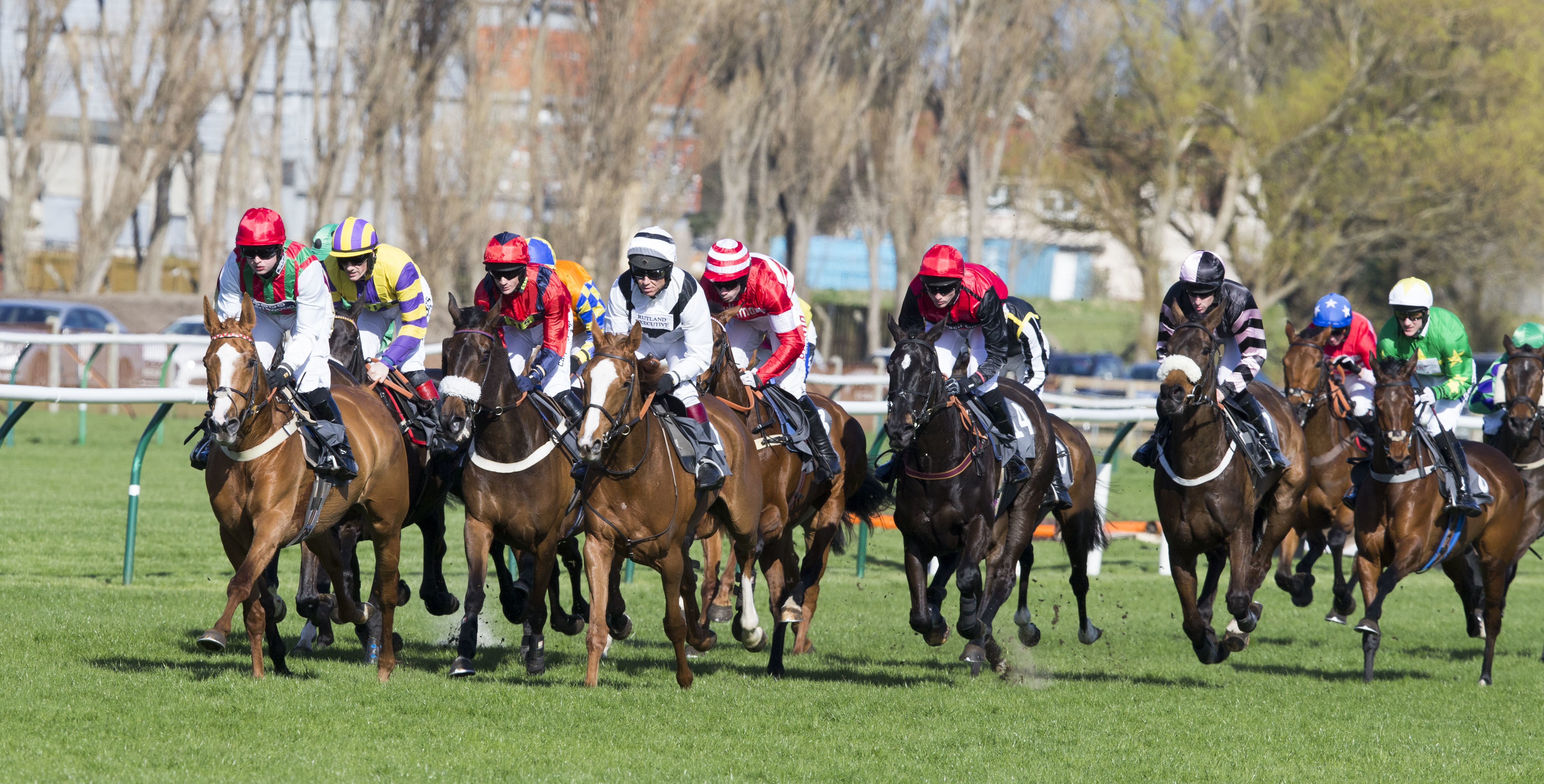 Paardenrenbaan van Ayr