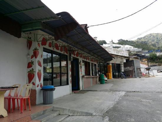 Raju's Hill Strawberry Farm