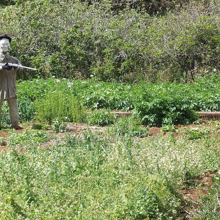 Galeria dos Prazeres