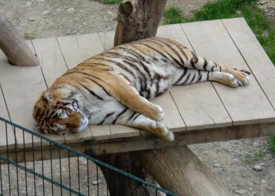 Parc animalier de Bouillon