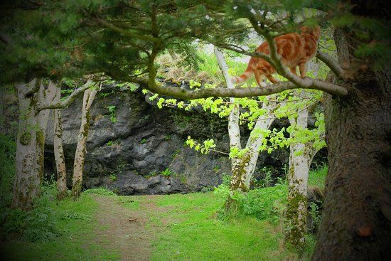 The Elf Walk in Hellisgerdi Park