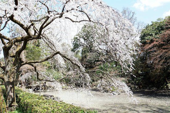 Keizerlijk Paleis van Kyoto