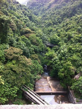 Kam Shan Country Park