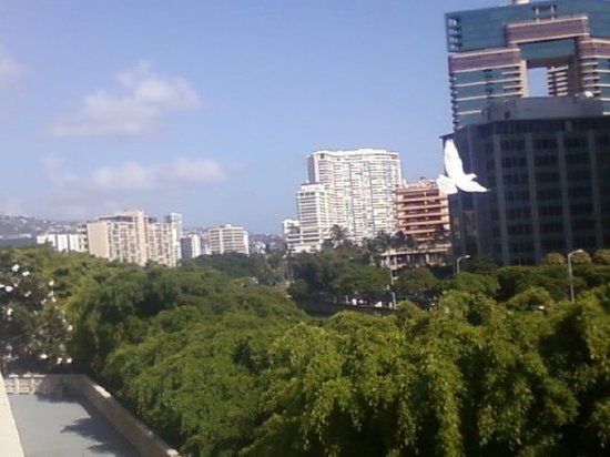 Conventiecentrum Hawaii