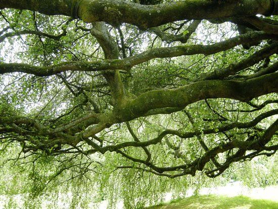 Jardin botanique de Bayeux