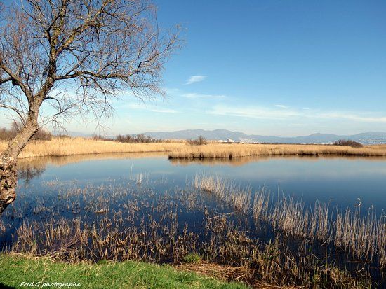 natuurpark Aiguamolls de l'Empordà