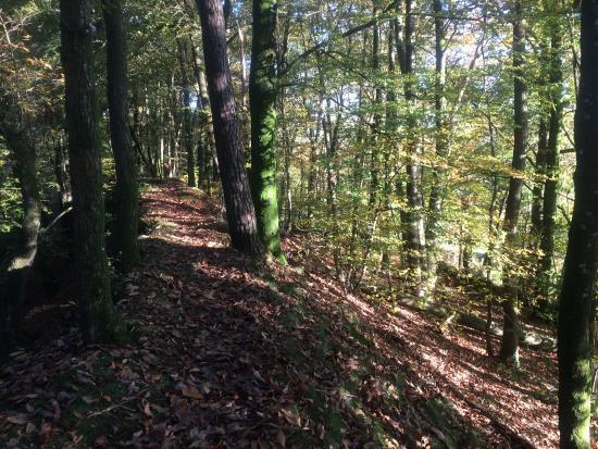 Parc Regional Basse Normandie