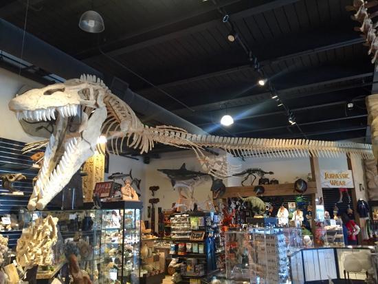 Dinosaur Store & Museum