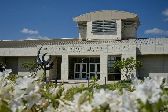 Museum voor Schone Kunsten Jules Collins Smith
