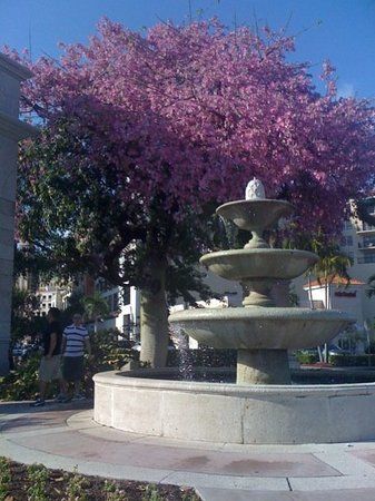 Miracle Mile in Miami