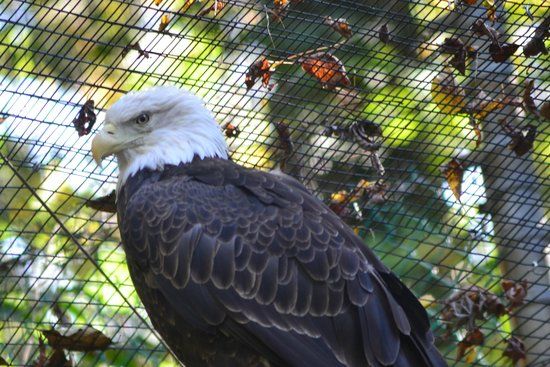 Dierentuin Brandywine