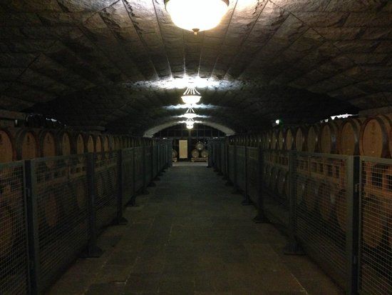 Zhangyu Wine Cultural Museum