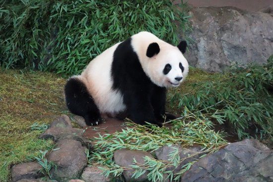 Adventure World-pretpark