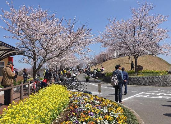 Sakura-no-Yama