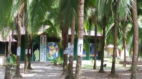 Natuurreservaat voor zeeschildpadden