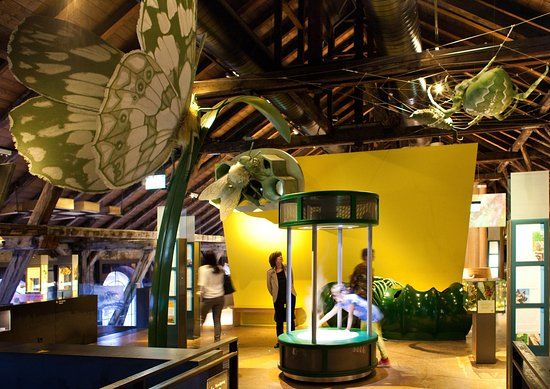 inatura natural spectacle Gmbh