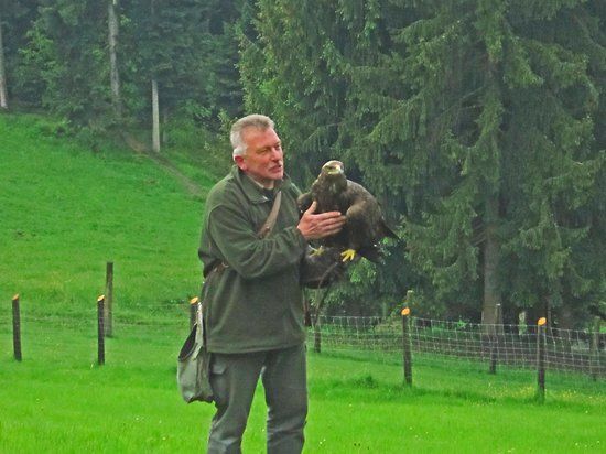 Adlerwarte Eagle Observatory