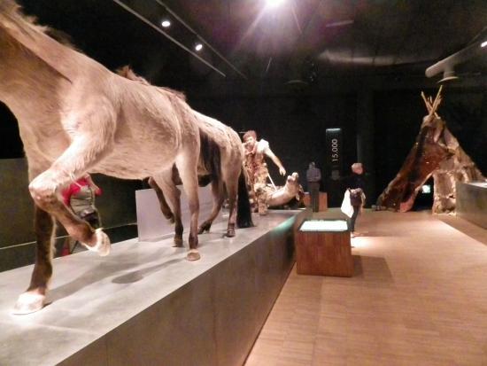 Gallo-Romeins Museum van Tongeren