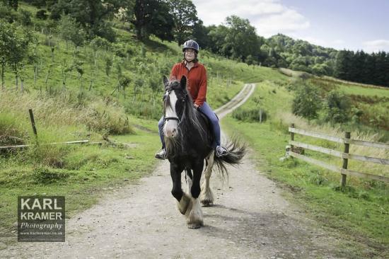 Lakeland Pony Trek