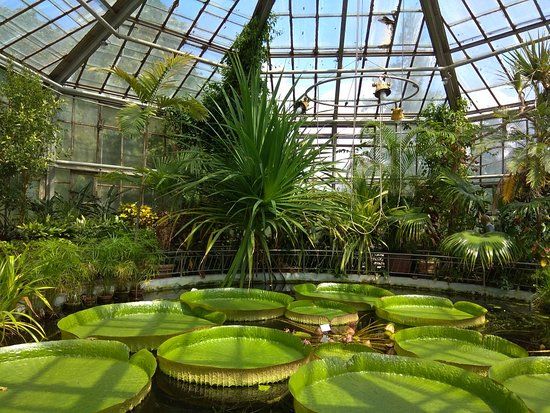 Botanische tuin van Cluj-Napoca