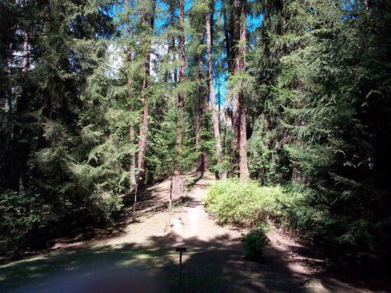 Parco Abbé J.M. Henry