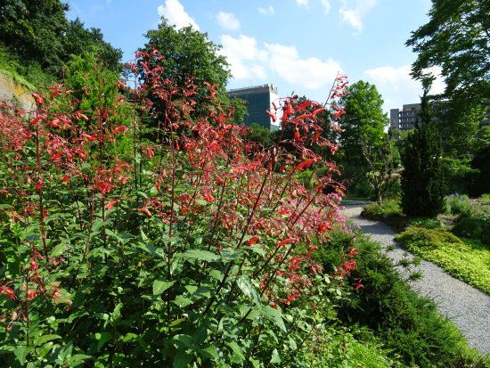 Botanische Tuinen Universiteit Utrecht