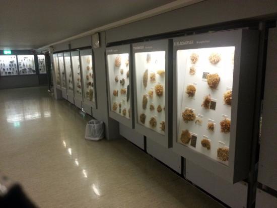 NTNU Wetenschapsmuseum