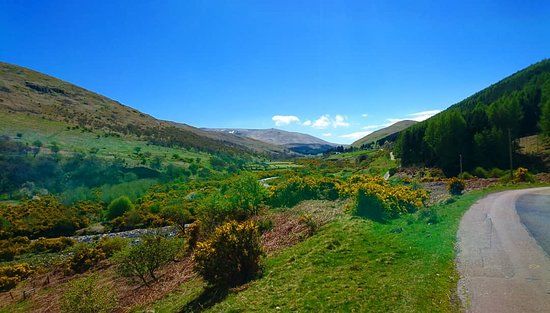 College Valley Estate