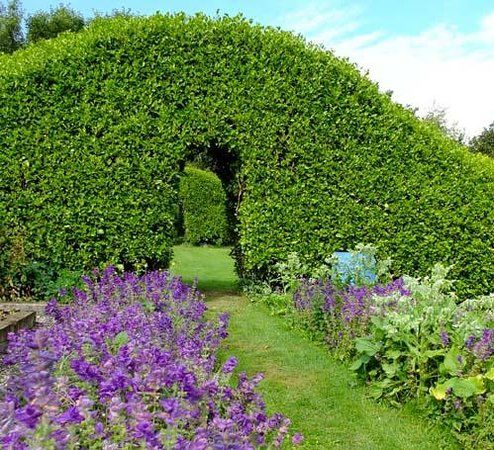 Glebe Gardens and Gallery