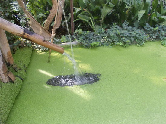 Butterfly Farm d'Abruzzo