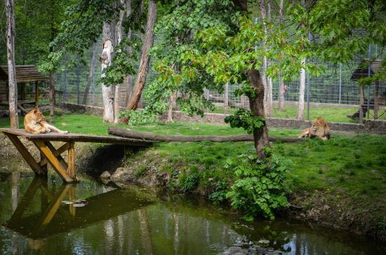 Zoo Sosto