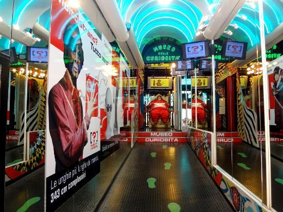 Museo delle curiosità