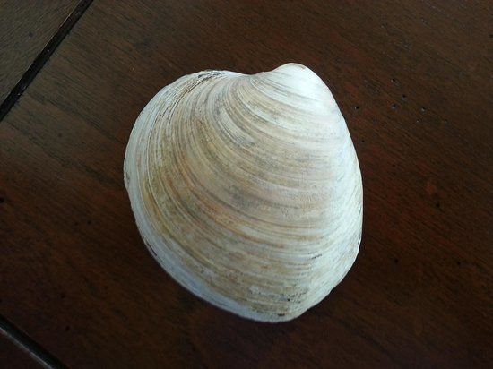 Schelpenmuseum Paal 14