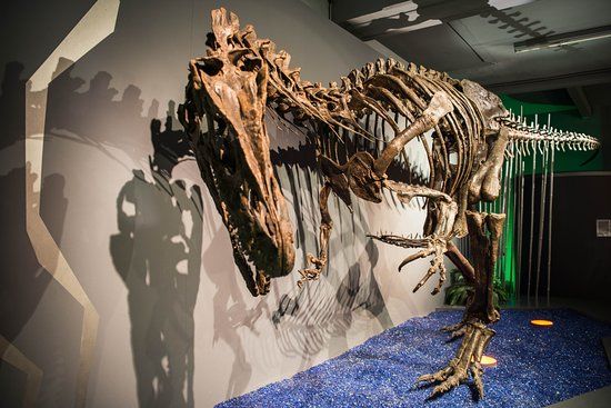 Sauriermuseum Aathal