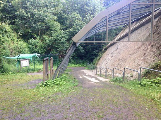 Saurierspuren in Barkhausen