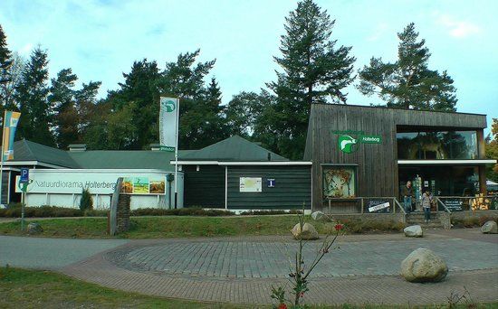 Stichting Natuurdiorama Holterberg