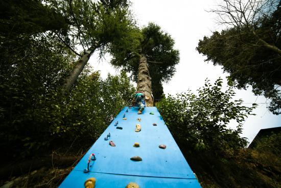 Rimbalzello Adventure Park